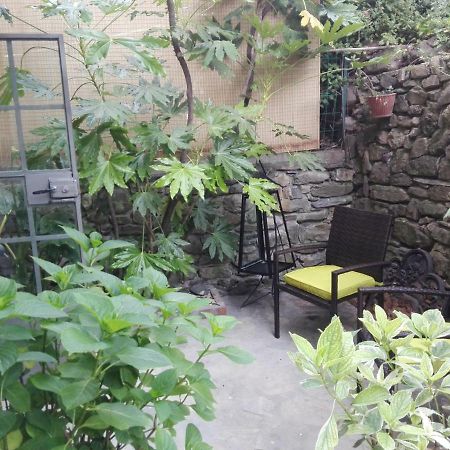 Le Ortensie Dolcedo Esterno foto